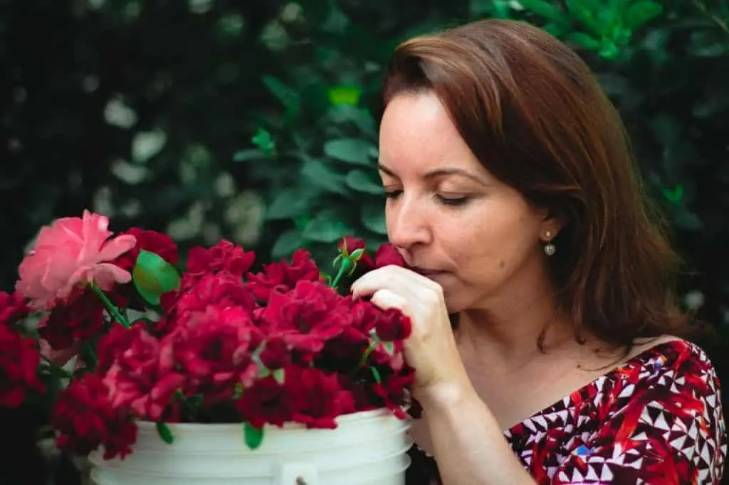 Eine Frau riecht in einem Eimer an roten Rosen und genießt dabei den Duft der Natur.