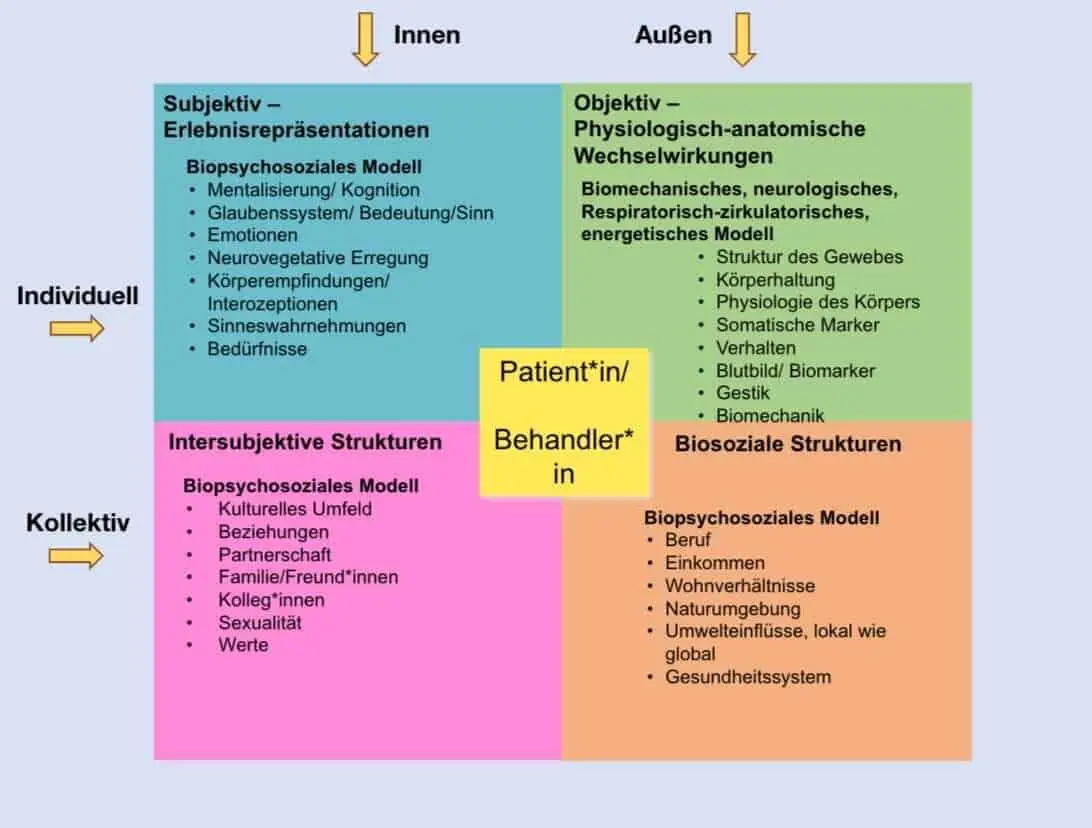 Ein Diagramm, das die verschiedenen Patiententypen zeigt, einschließlich derjenigen, die in Hamburg Kinderosteopathie und Sportosteopathie suchen.