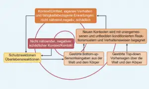 Diagram blokowy przedstawia różne reakcje behawioralne w kontekście, z czerwonymi i pomarańczowymi polami z niemieckim tekstem o negatywnych wpływach i zakłóconych bodźcach sensorycznych. Strzałki łączą pola, oferując wgląd w rolę Psychosomatische Osteopathie w reakcjach warunkowych.