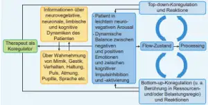 Ein Flussdiagramm veranschaulicht ein Regulationsmodell mit Schlüsselkomponenten wie „Therapeutisch als Koregulator“, Patienteninformation und neurovegetativer Erregung. Es untersucht, wie Osteopathie den psychosomatischen Prozess beeinflussen kann, indem sie Top-down- und Bottom-up-Koregulation und -Reaktionen verknüpft. Die Beschriftungen sind in deutscher Sprache.